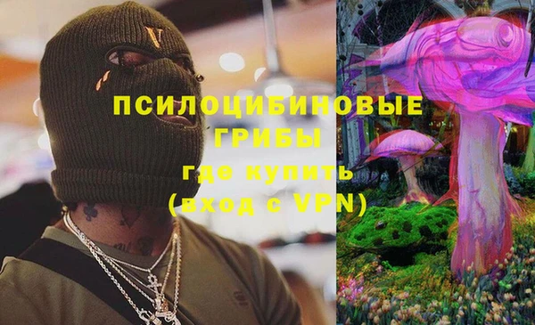 apvp Протвино