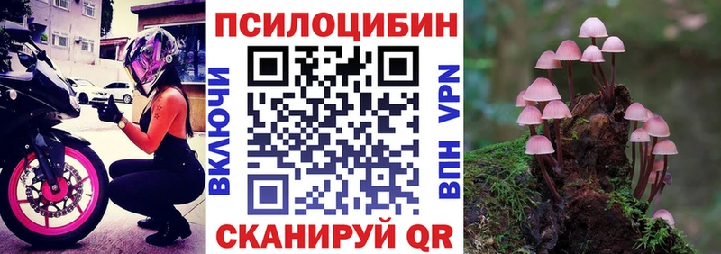 Галлюциногенные грибы Magic Shrooms  площадка состав  Галич  цена  